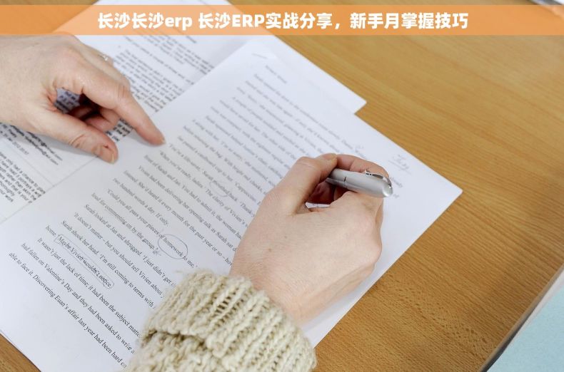 长沙长沙erp 长沙ERP实战分享，新手月掌握技巧