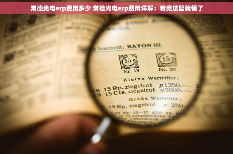 常德光电erp费用多少 常德光电erp费用详解：看完这篇就懂了