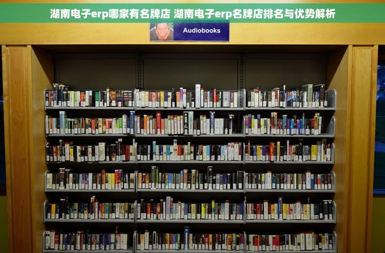 湖南电子erp哪家有名牌店 湖南电子erp名牌店排名与优势解析