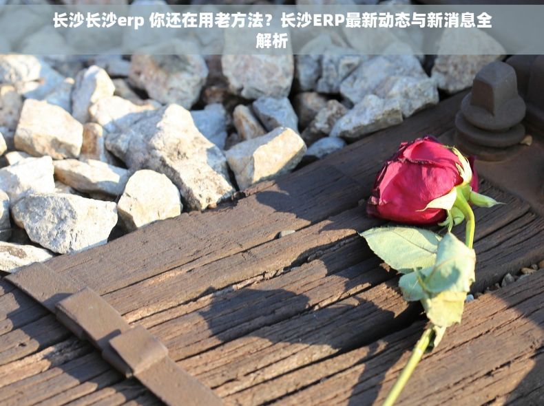 长沙长沙erp 你还在用老方法？长沙ERP最新动态与新消息全解析