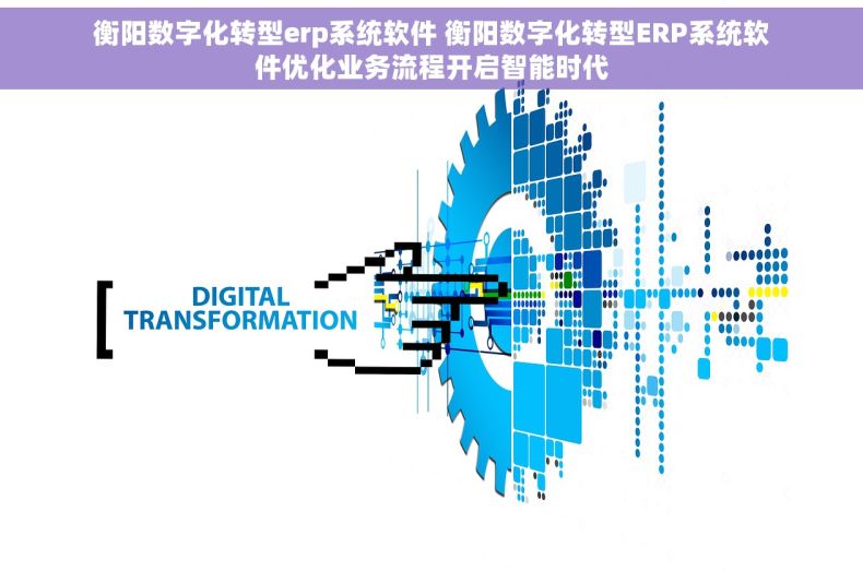 衡阳数字化转型erp系统软件 衡阳数字化转型ERP系统软件优化业务流程开启智能时代