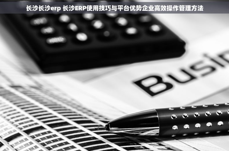 长沙长沙erp 长沙ERP使用技巧与平台优势企业高效操作管理方法