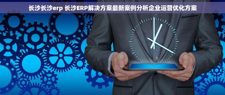 长沙长沙erp 长沙ERP解决方案最新案例分析企业运营优化方案