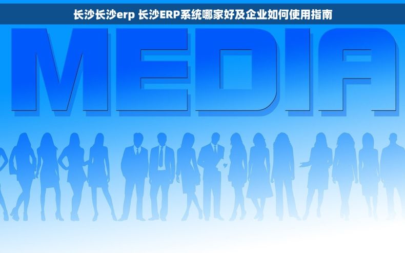 长沙长沙erp 长沙ERP系统哪家好及企业如何使用指南