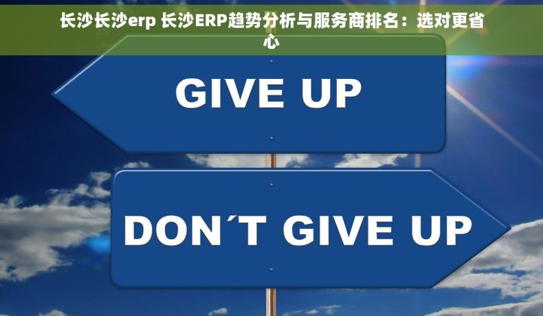 长沙长沙erp 长沙ERP趋势分析与服务商排名：选对更省心