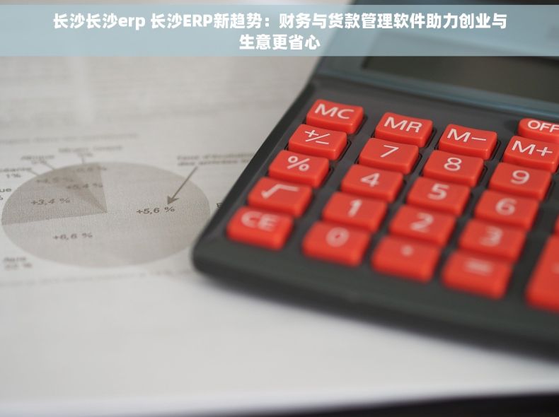 长沙长沙erp 长沙ERP新趋势：财务与货款管理软件助力创业与生意更省心