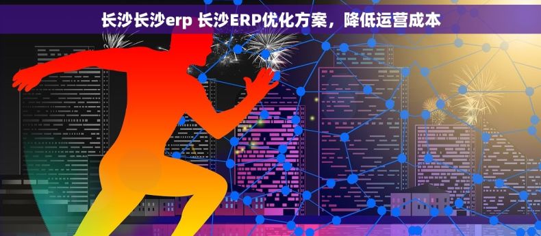 长沙长沙erp 长沙ERP优化方案，降低运营成本