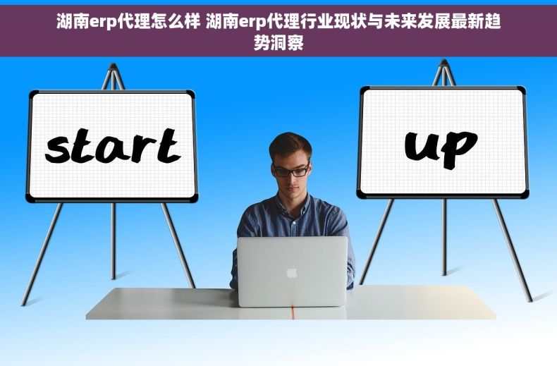 湖南erp代理怎么样 湖南erp代理行业现状与未来发展最新趋势洞察