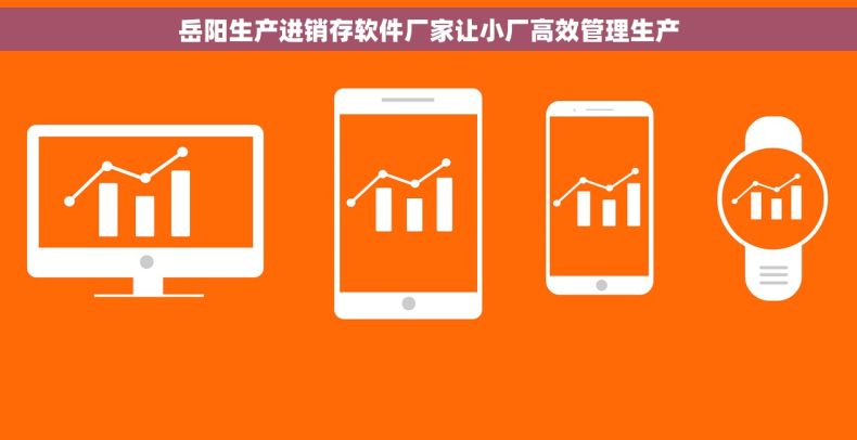 岳阳生产进销存软件厂家让小厂高效管理生产