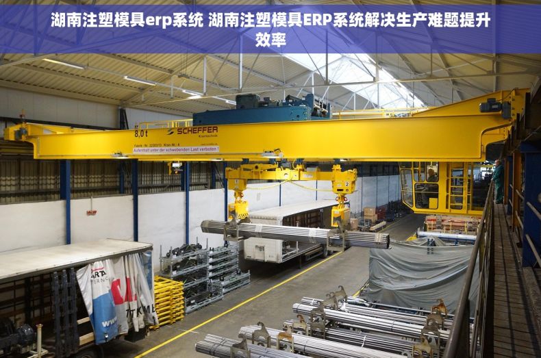 湖南注塑模具erp系统 湖南注塑模具ERP系统解决生产难题提升效率