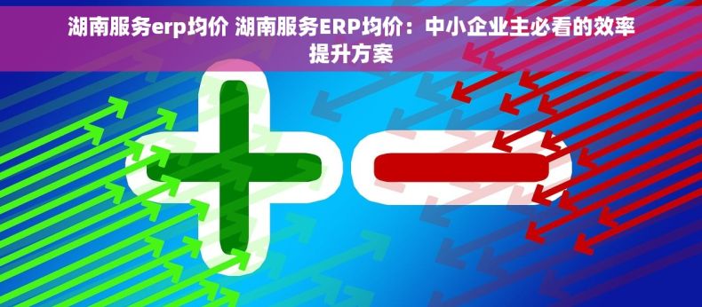 湖南服务erp均价 湖南服务ERP均价：中小企业主必看的效率提升方案