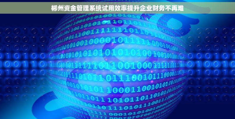 郴州资金管理系统试用效率提升企业财务不再难