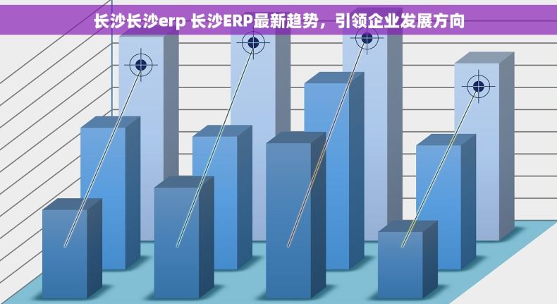 长沙长沙erp 长沙ERP最新趋势，引领企业发展方向