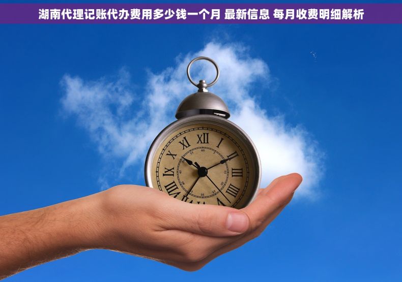 湖南代理记账代办费用多少钱一个月 最新信息 每月收费明细解析
