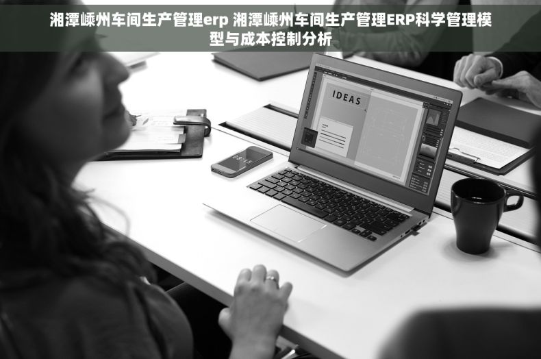 湘潭嵊州车间生产管理erp 湘潭嵊州车间生产管理ERP科学管理模型与成本控制分析