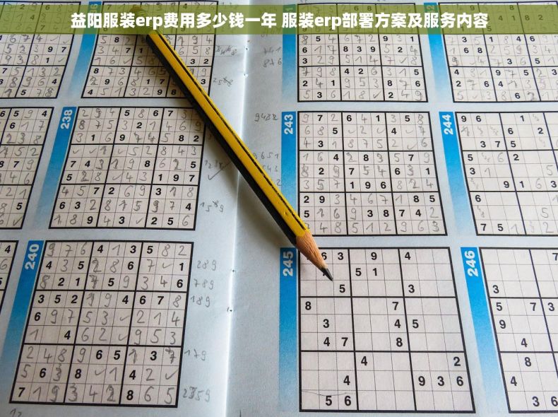 益阳服装erp费用多少钱一年 服装erp部署方案及服务内容