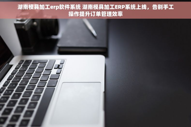 湖南模具加工erp软件系统 湖南模具加工ERP系统上线，告别手工操作提升订单管理效率