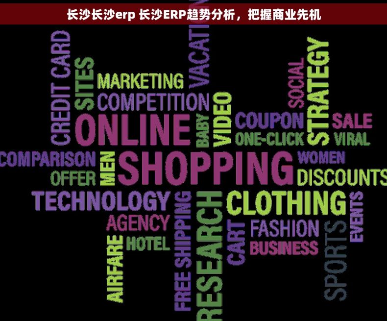 长沙长沙erp 长沙ERP趋势分析，把握商业先机