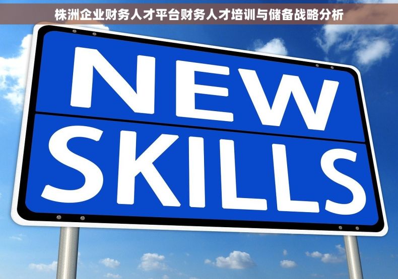 株洲企业财务人才平台财务人才培训与储备战略分析