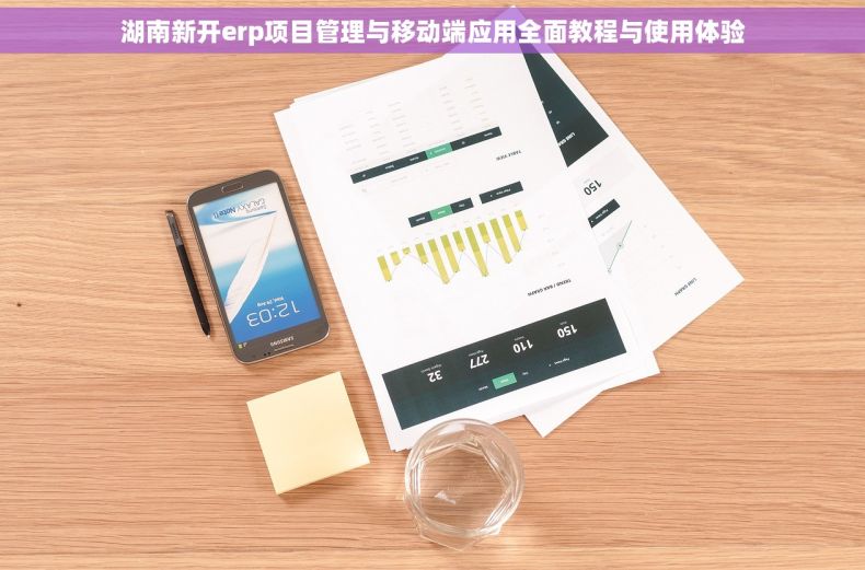 湖南新开erp项目管理与移动端应用全面教程与使用体验