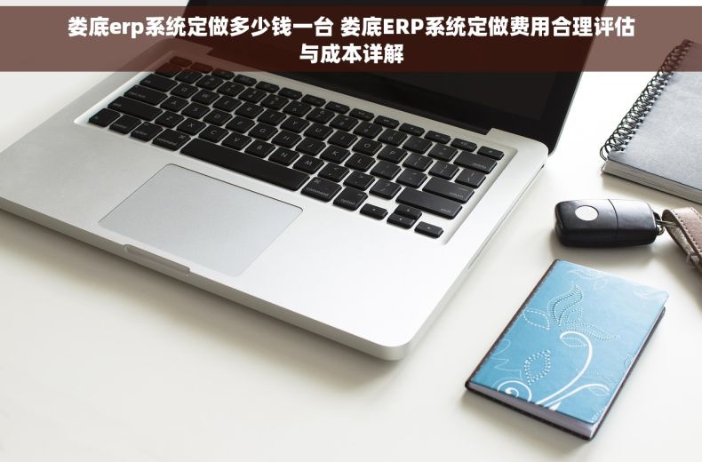 娄底erp系统定做多少钱一台 娄底ERP系统定做费用合理评估与成本详解