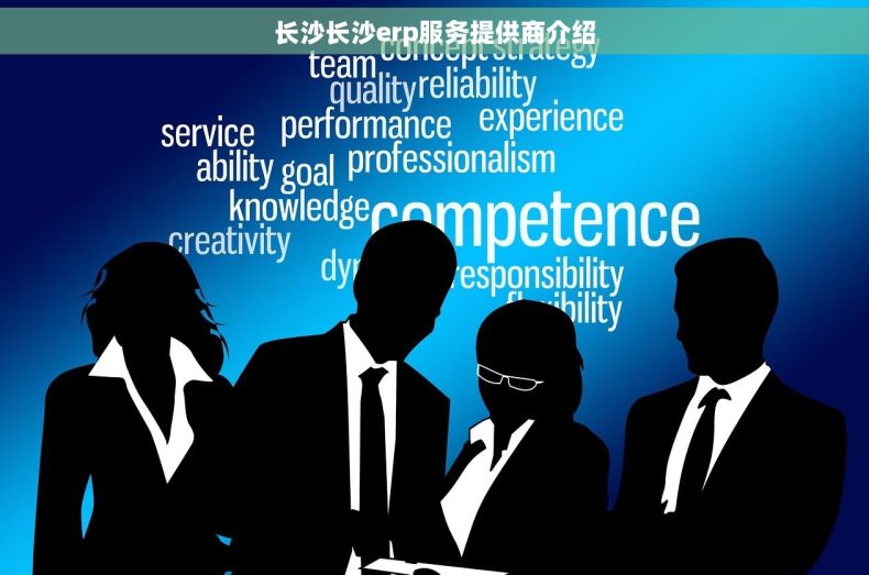 长沙长沙erp服务提供商介绍