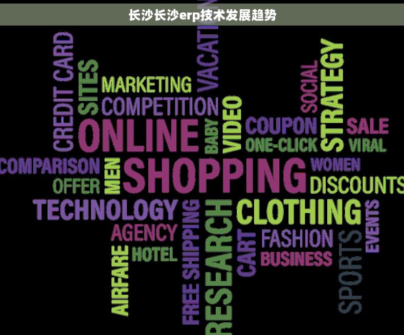 长沙长沙erp技术发展趋势
