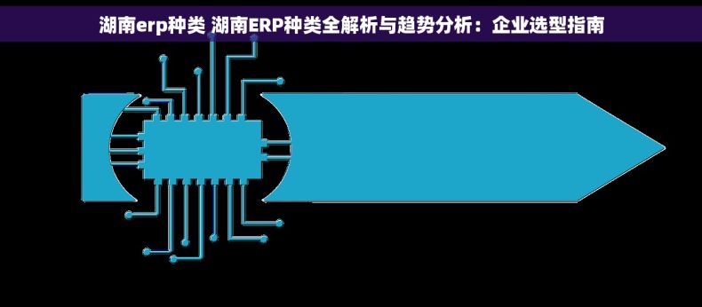 湖南erp种类 湖南ERP种类全解析与趋势分析：企业选型指南