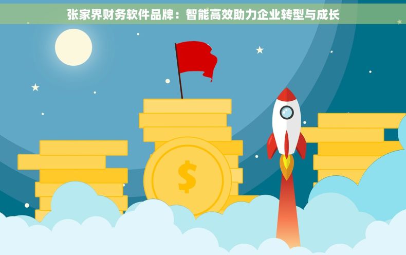 张家界财务软件品牌：智能高效助力企业转型与成长