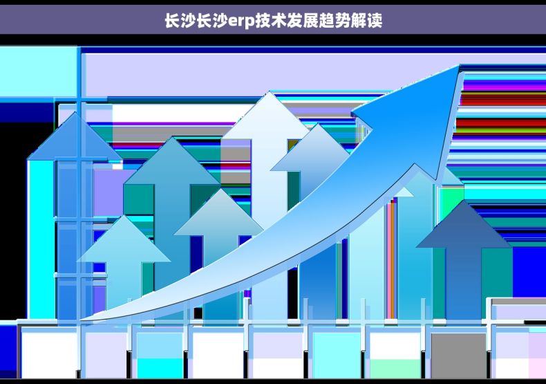 长沙长沙erp技术发展趋势解读