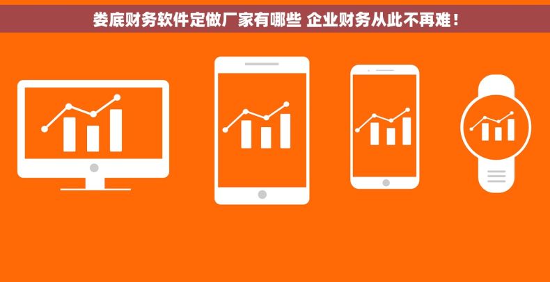 娄底财务软件定做厂家有哪些 企业财务从此不再难！