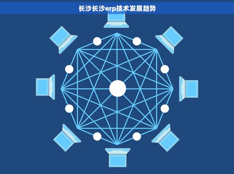 长沙长沙erp技术发展趋势