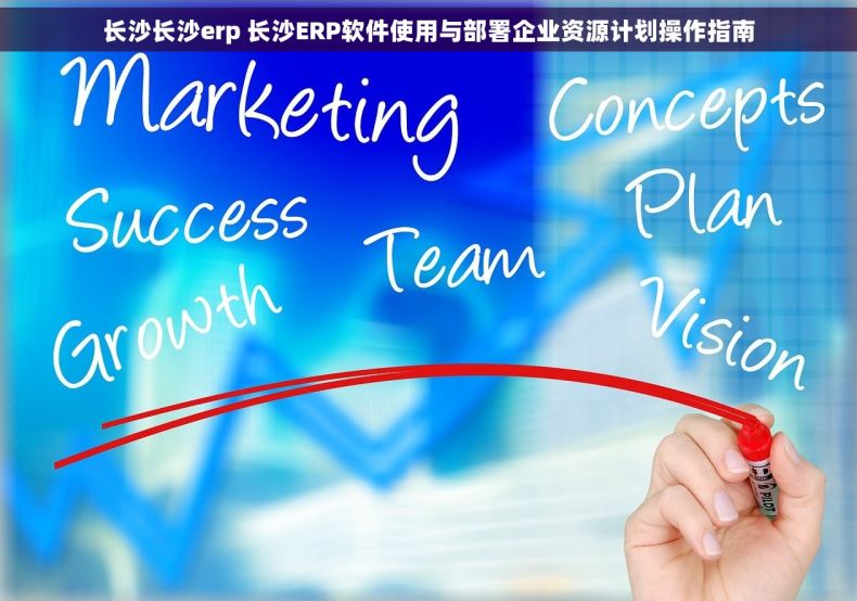 长沙长沙erp 长沙ERP软件使用与部署企业资源计划操作指南