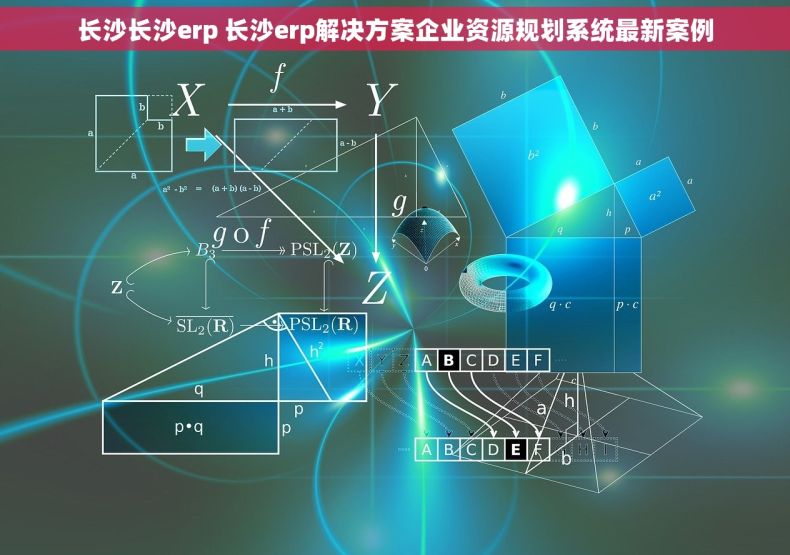 长沙长沙erp 长沙erp解决方案企业资源规划系统最新案例