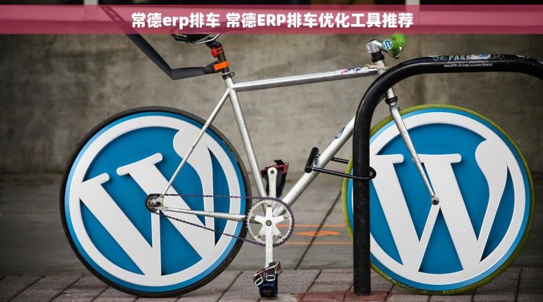 常德erp排车 常德ERP排车优化工具推荐