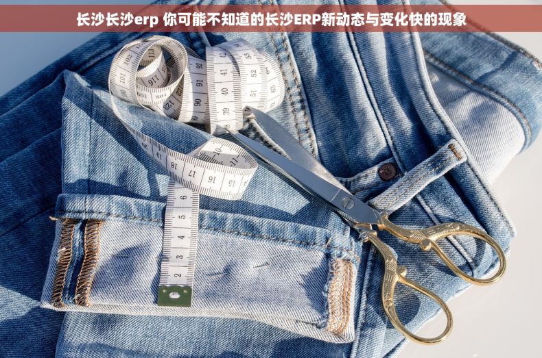 长沙长沙erp 你可能不知道的长沙ERP新动态与变化快的现象