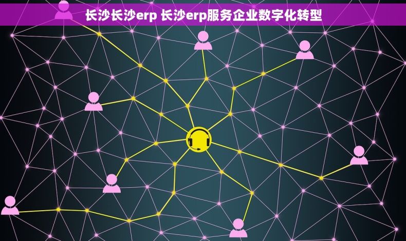 长沙长沙erp 长沙erp服务企业数字化转型