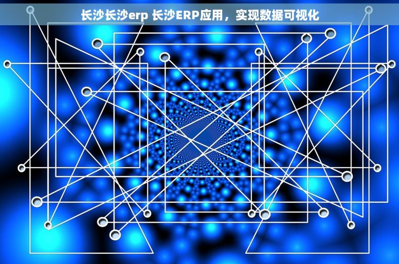 长沙长沙erp 长沙ERP应用，实现数据可视化
