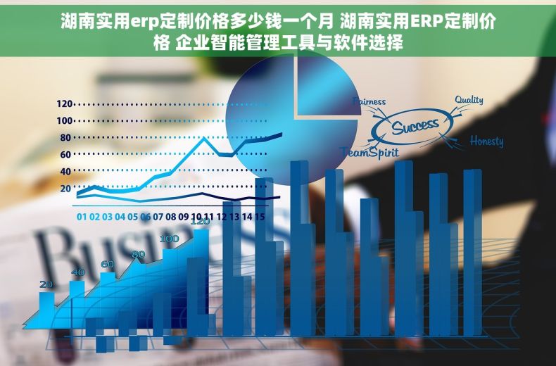 湖南实用erp定制价格多少钱一个月 湖南实用ERP定制价格 企业智能管理工具与软件选择