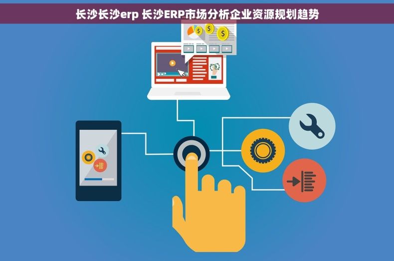 长沙长沙erp 长沙ERP市场分析企业资源规划趋势