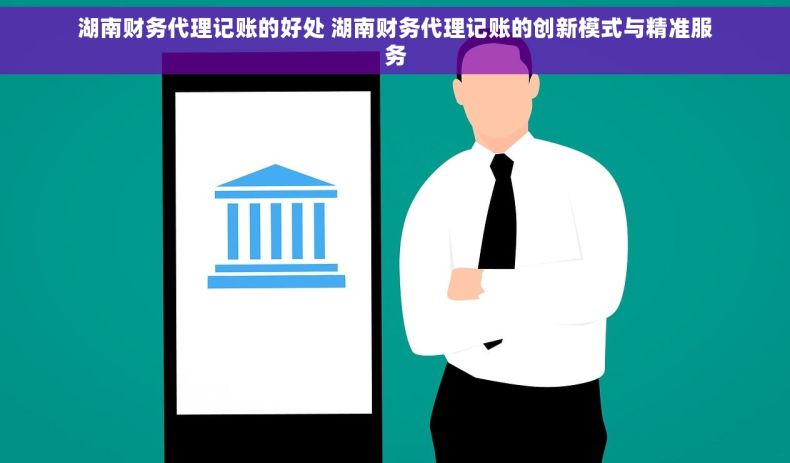 湖南财务代理记账的好处 湖南财务代理记账的创新模式与精准服务