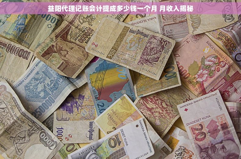 益阳代理记账会计提成多少钱一个月 月收入揭秘
