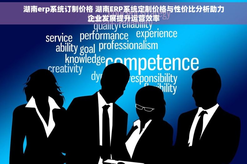 湖南erp系统订制价格 湖南ERP系统定制价格与性价比分析助力企业发展提升运营效率