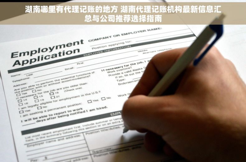 湖南哪里有代理记账的地方 湖南代理记账机构最新信息汇总与公司推荐选择指南