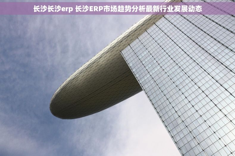 长沙长沙erp 长沙ERP市场趋势分析最新行业发展动态