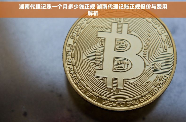 湖南代理记账一个月多少钱正规 湖南代理记账正规报价与费用解析