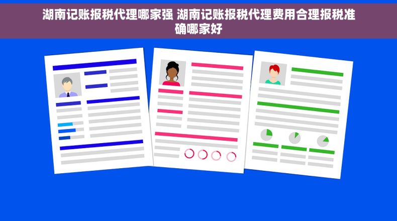 湖南记账报税代理哪家强 湖南记账报税代理费用合理报税准确哪家好