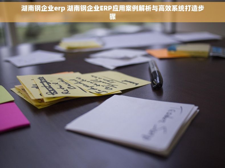 湖南钢企业erp 湖南钢企业ERP应用案例解析与高效系统打造步骤