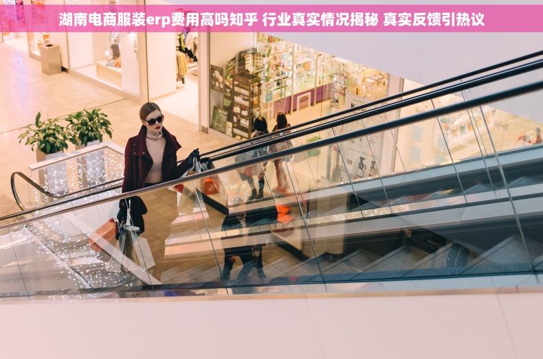 湖南电商服装erp费用高吗知乎 行业真实情况揭秘 真实反馈引热议