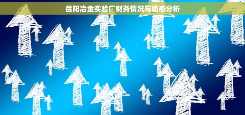 岳阳冶金实验厂财务情况与动态分析